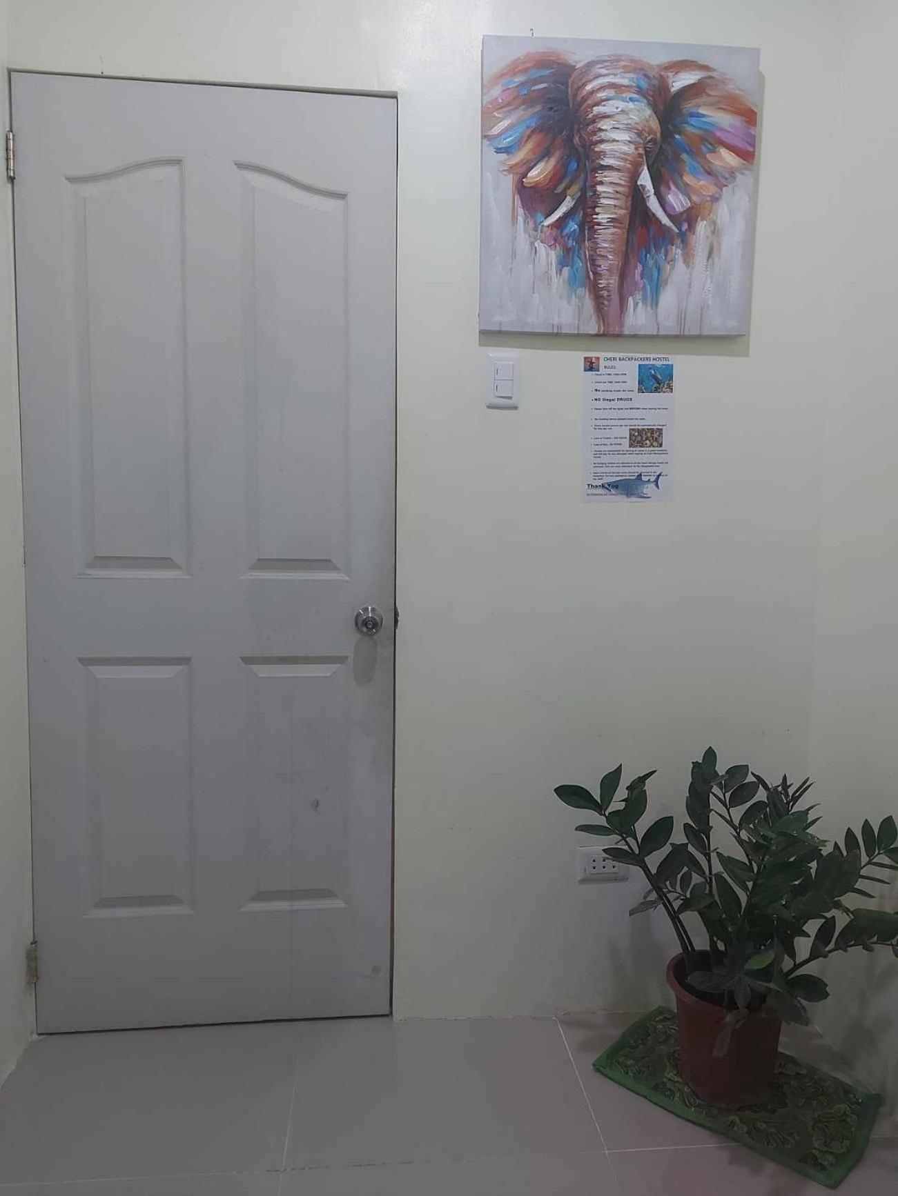 Cheri Backpackers Hostel *
