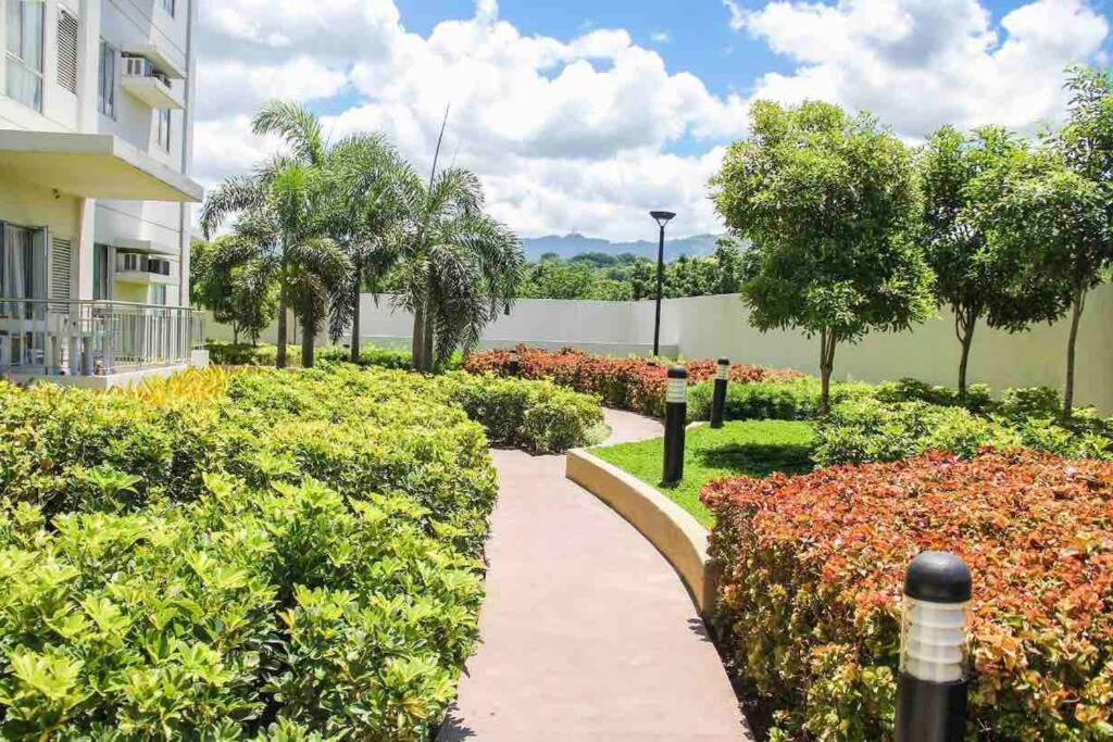 Homey At Avida It Park Apartment Cebu