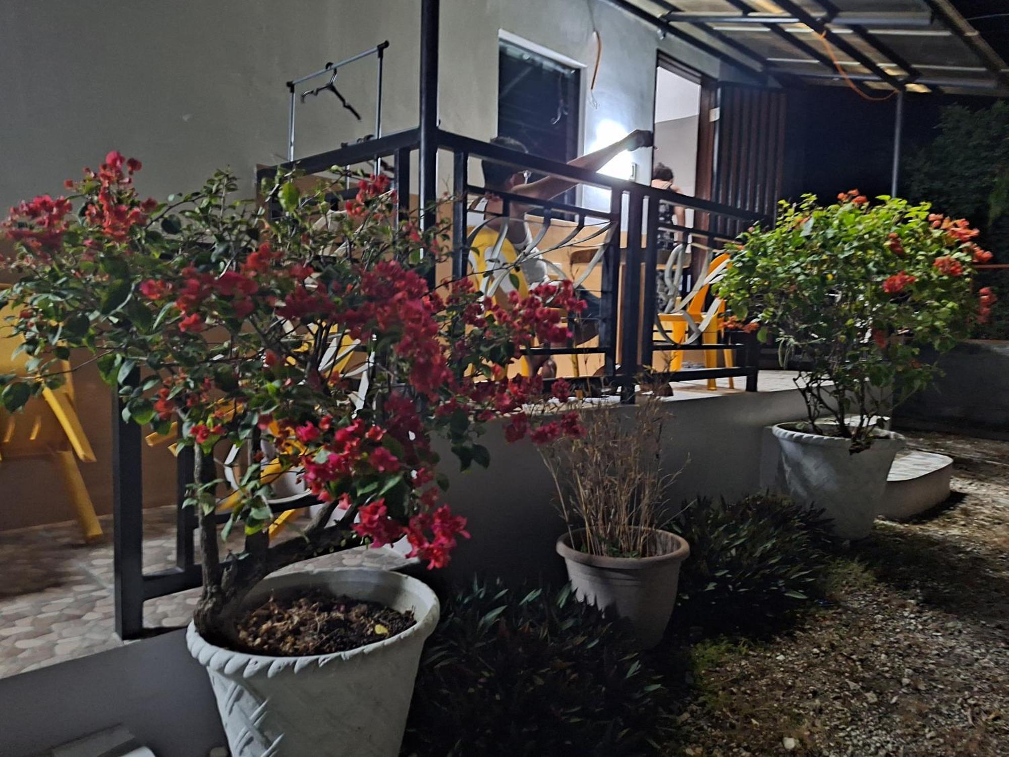 Apartment Kendra