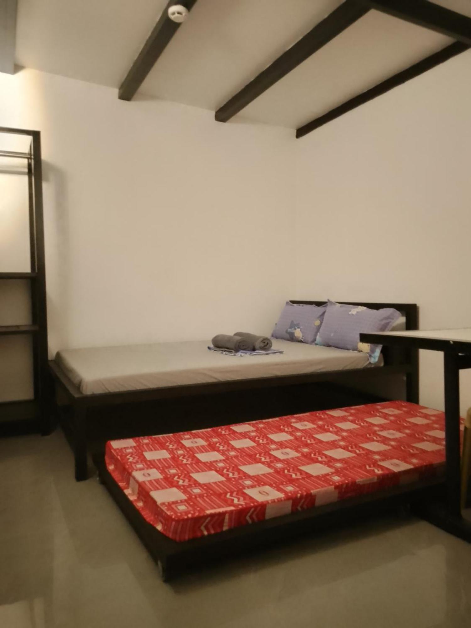 Shawe House Guest house