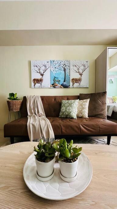 It Park Cozy Neutral *