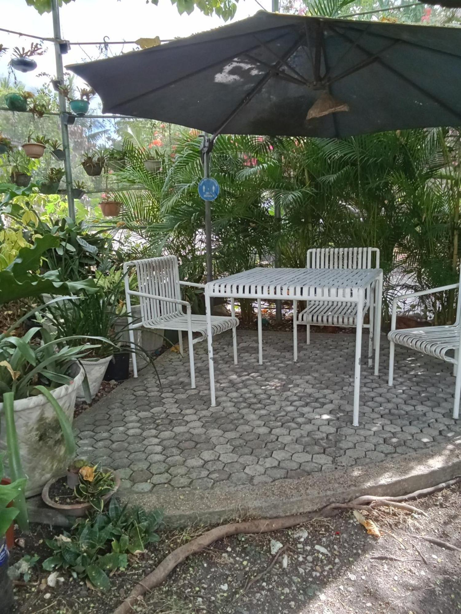 Yoo Darius' Residences Homestay *
