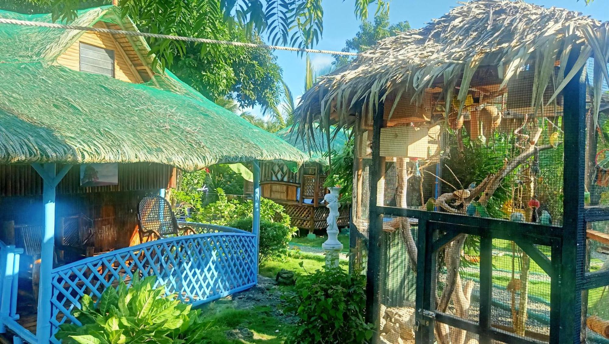 Bed & Breakfast Bamboo House / 2*
