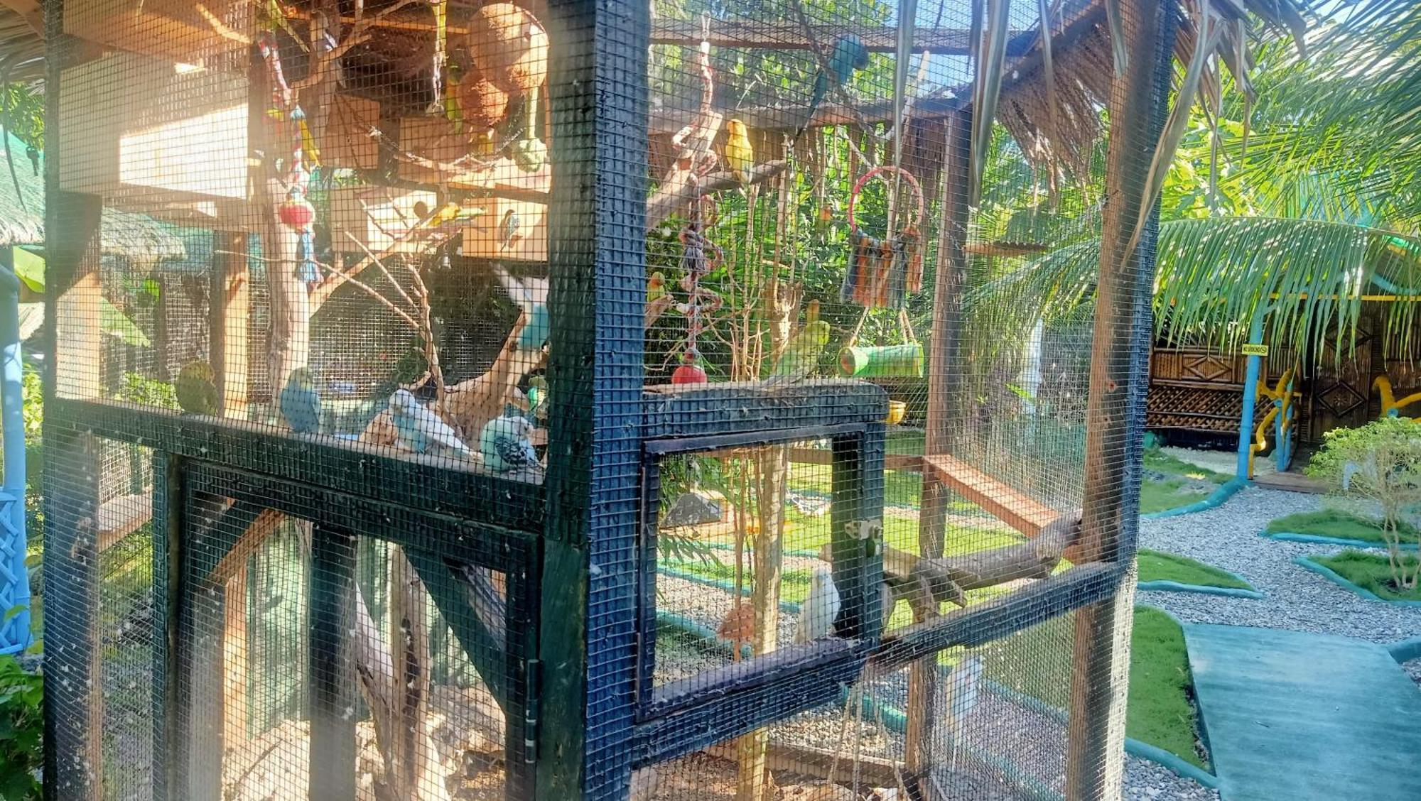 Bamboo House /