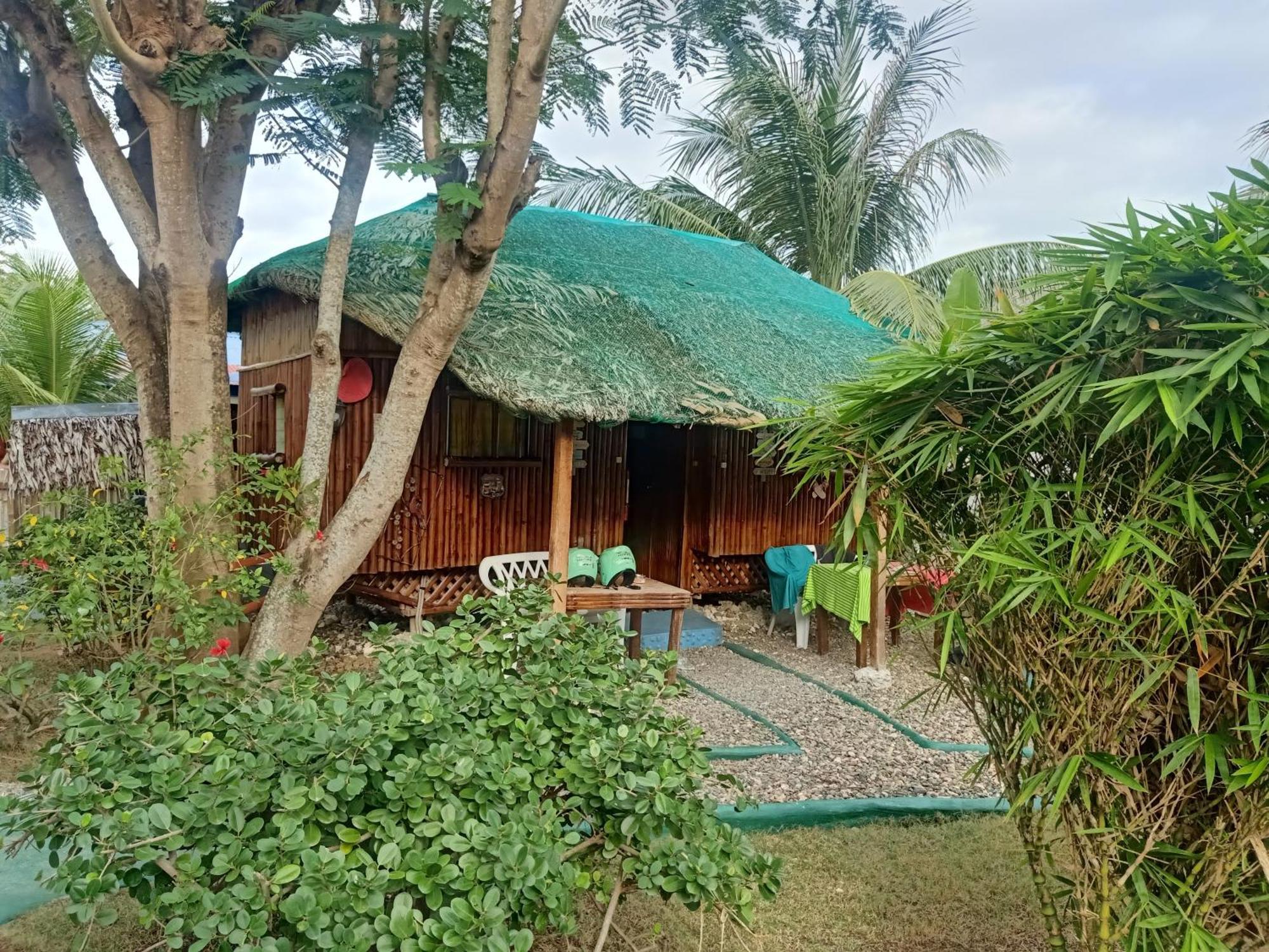 Bamboo House / Bed & Breakfast Moalboal