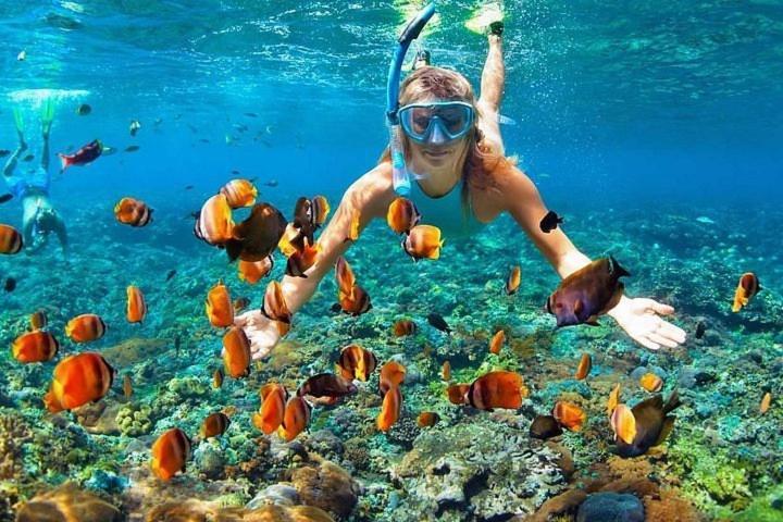Private Collection 贅沢 Jade'S Beach Villa 별장 Cebu-Olango An Exclusive Private Beach Secret 별장 2 Nights Minimum * Lapu-Lapu City