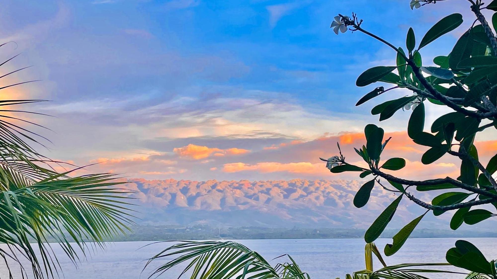 La Concepcion Cove Garden