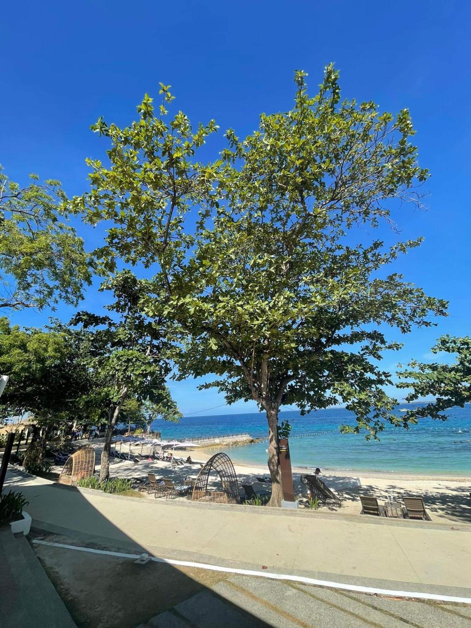 Aparthotel Mactan Newtown With Free Airport Pickup *