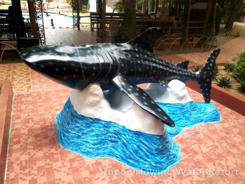 Tubod Flowing Water 3*