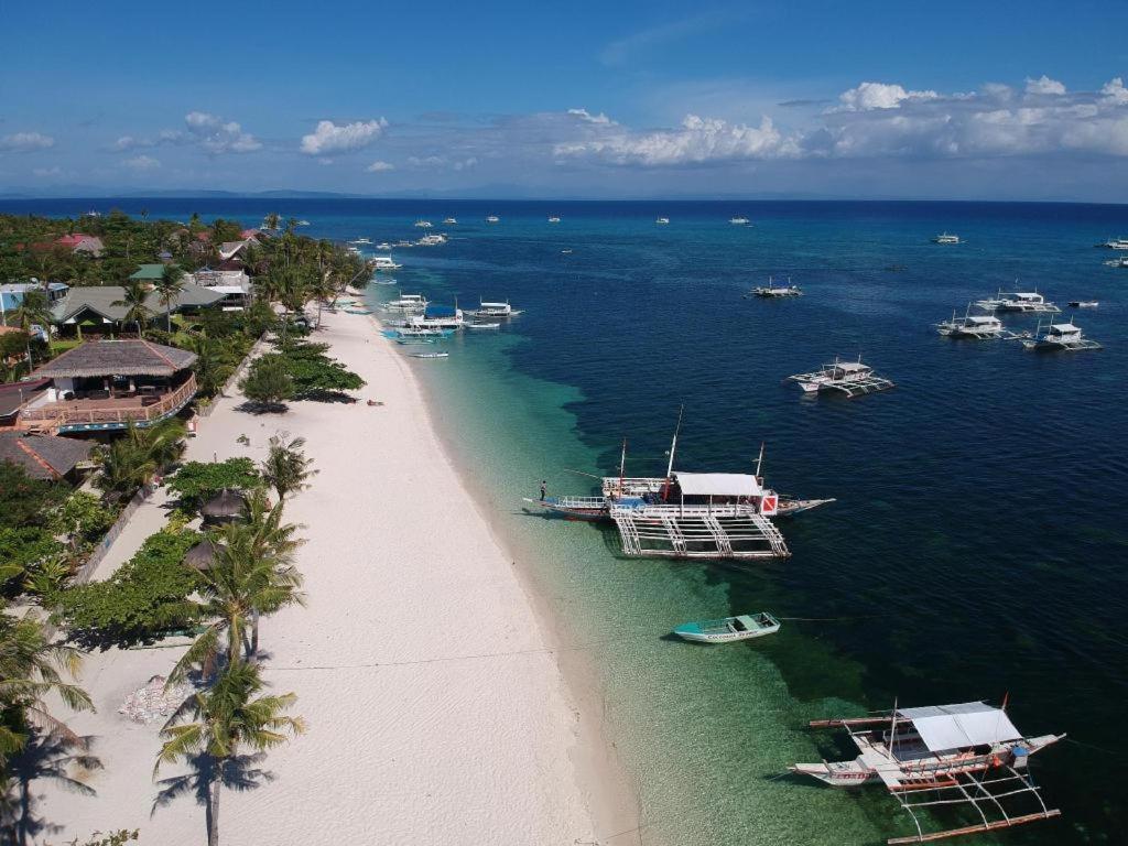 Ocean Vida And Dive Resort