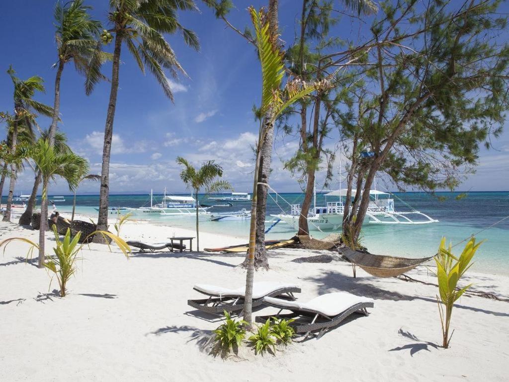 Resort Ocean Vida And Dive Logon