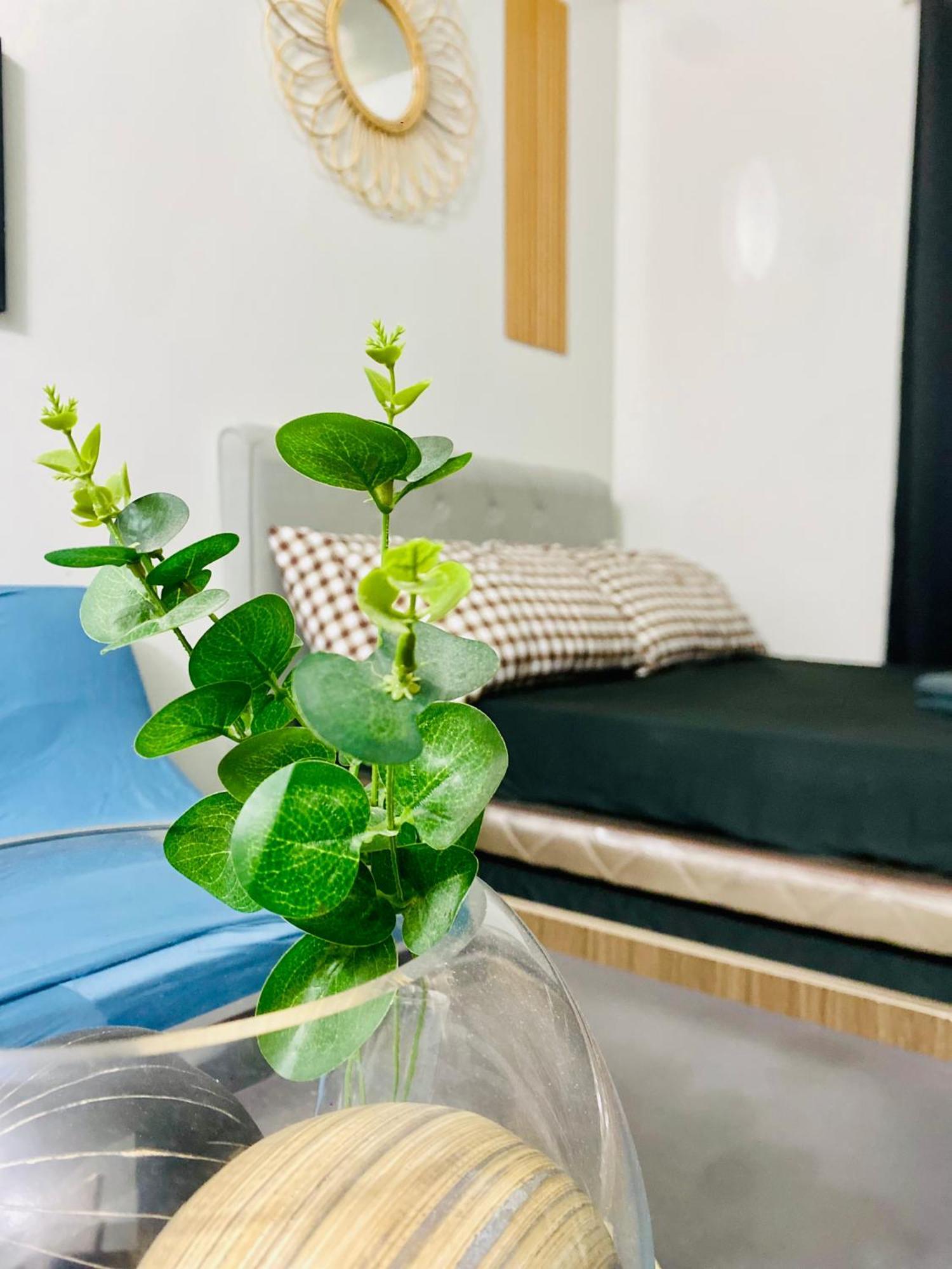 Renovated Furnished Near Airport, Malls And School Apartment *