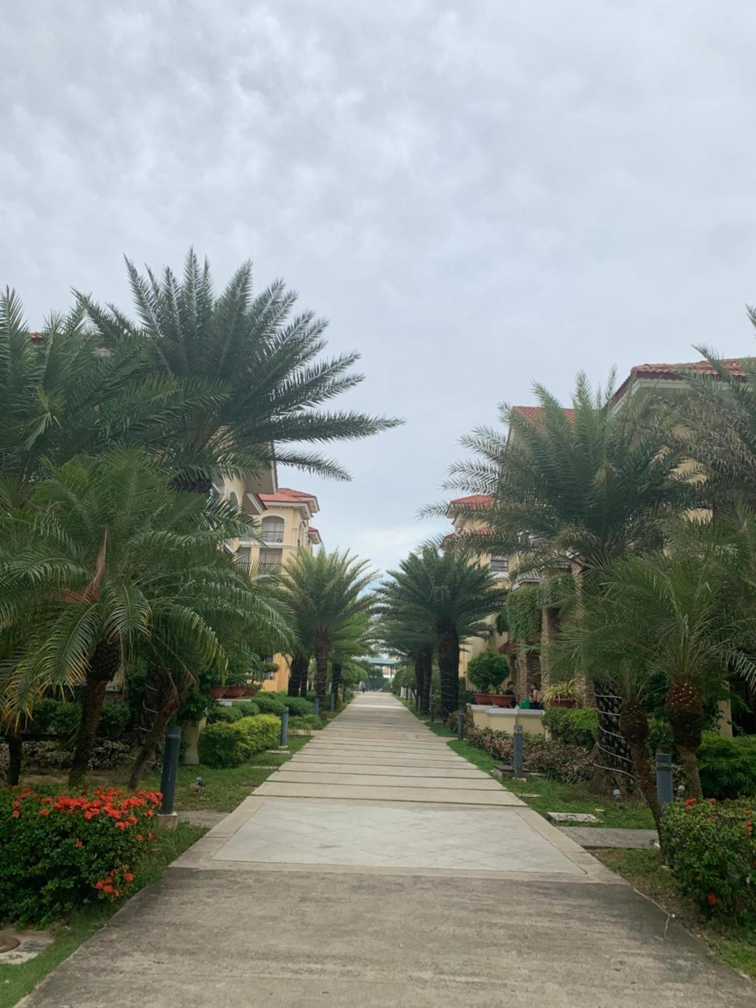 Sanremo Oasis, De Mare