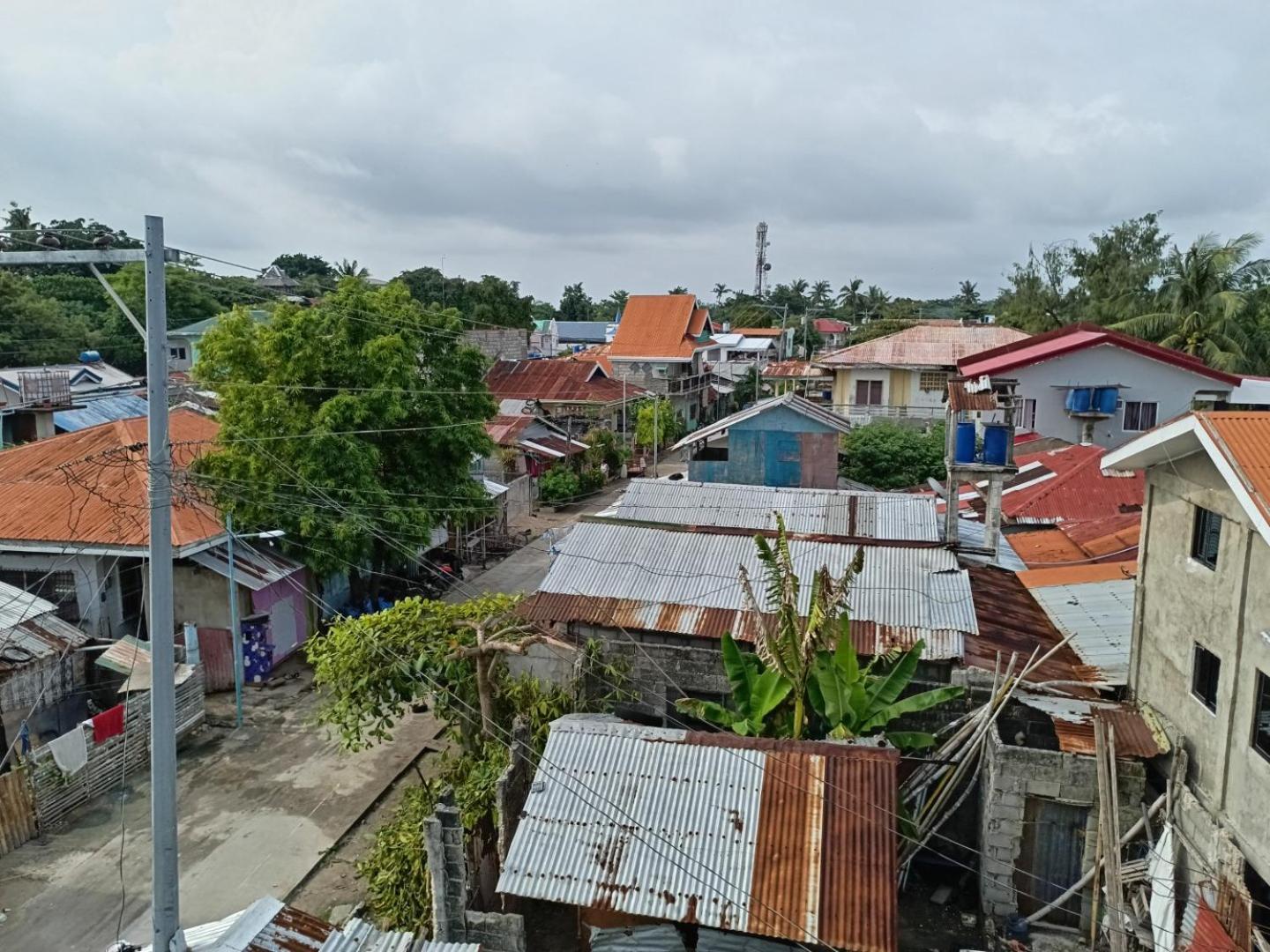 Drage Tourist Malapascua