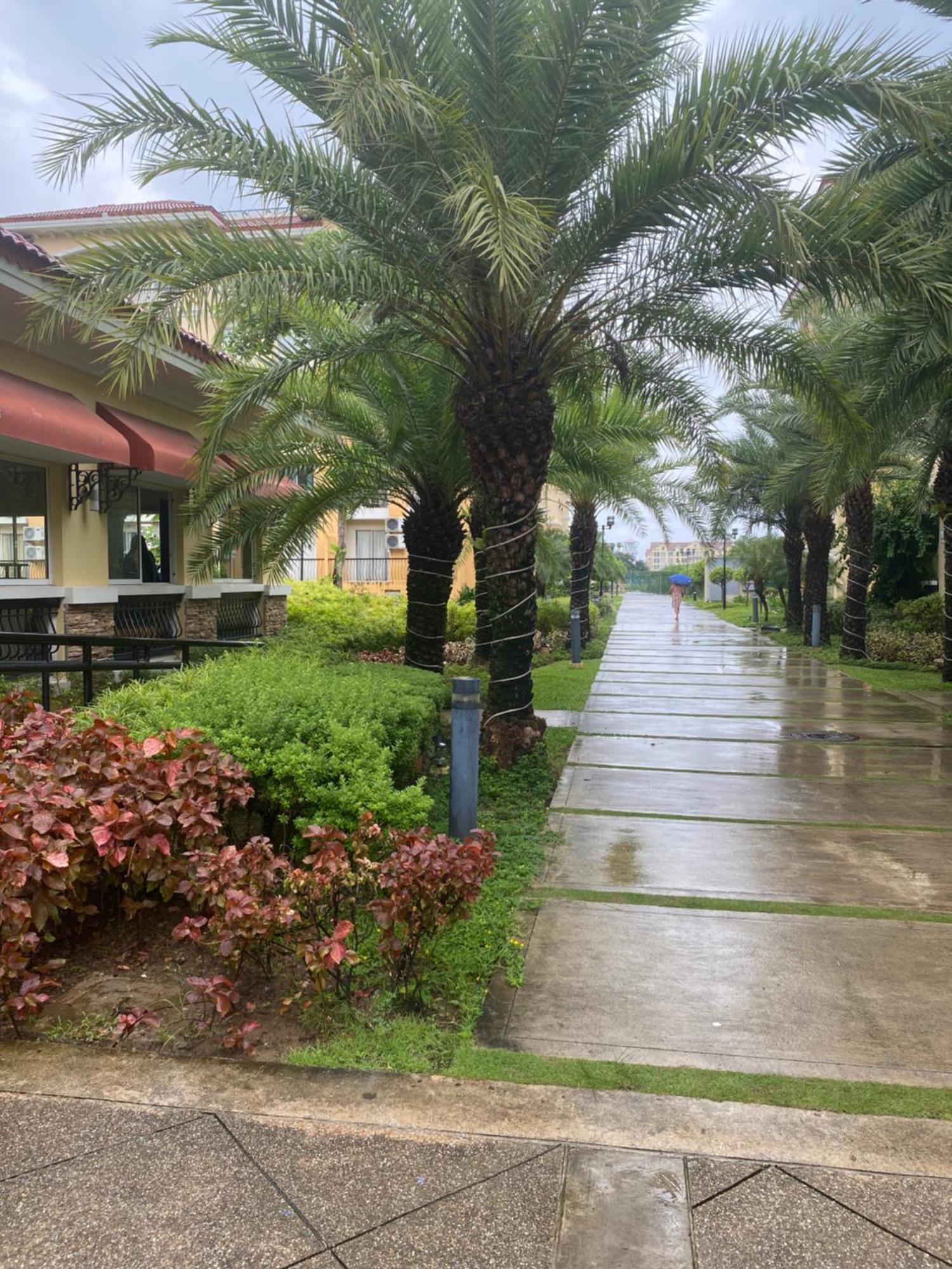 San Remo Oasis Unit *