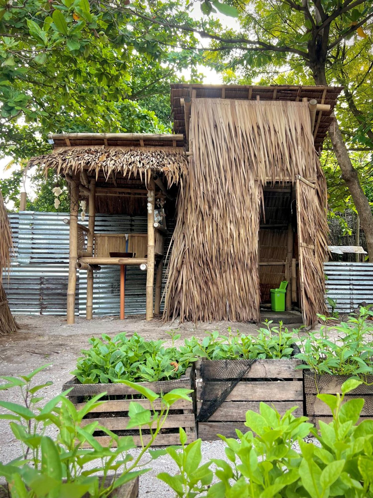 Tribal Huts Community *