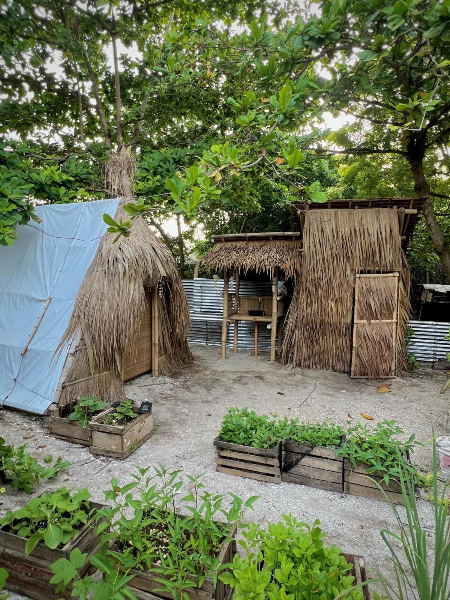 Hostel Tribal Huts Community *