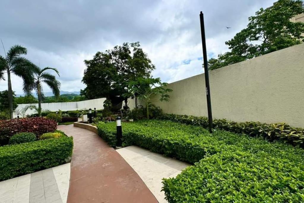 One Bedroom Unit Avida Tower 2, It Park * Cebu