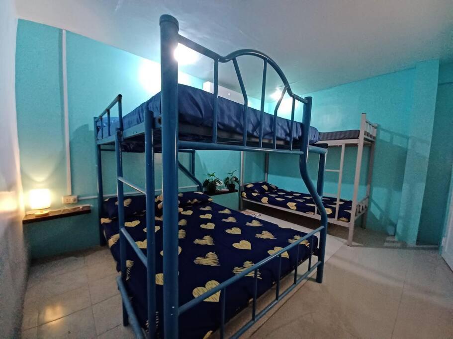 Unit2 Spacious 2br Near Sm Seaside Nustar Ocean Park Dynamic Herb Anjo Apartment