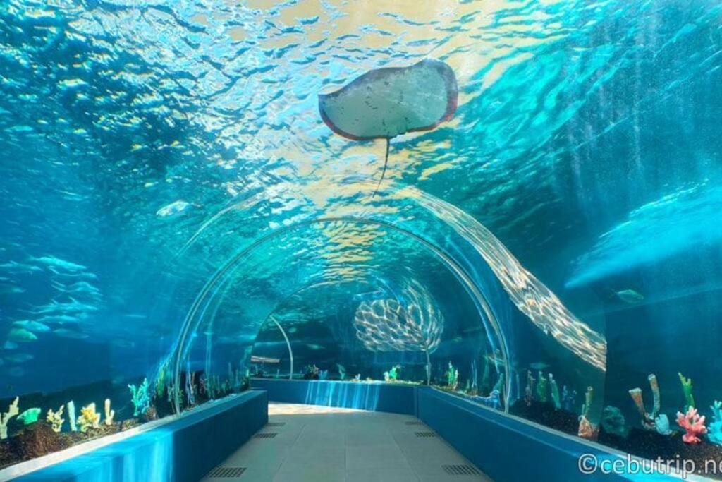 1708 Pool Gym Wi-fi With Netflix Near Ayala And It Park Apartment Cebu