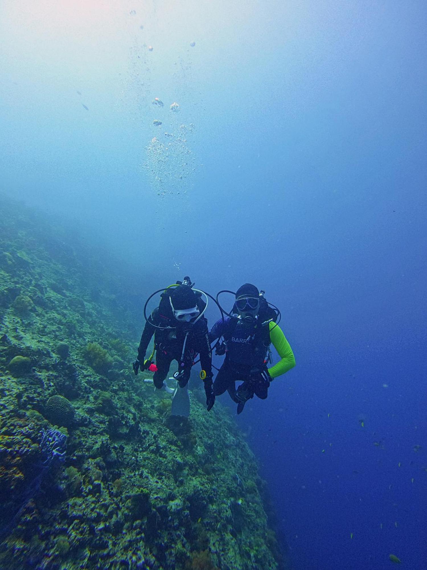 Brandnew Scuba Basdiot