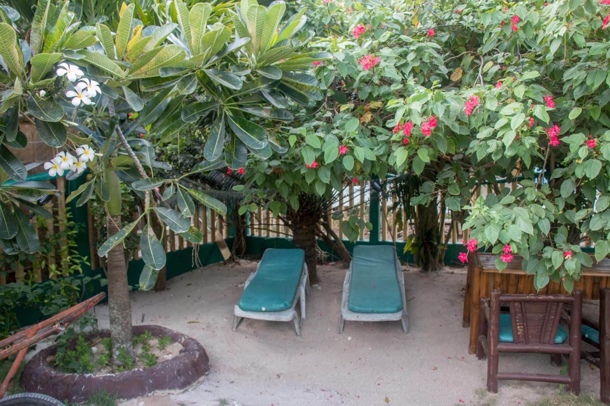Moonlight Resort Logon