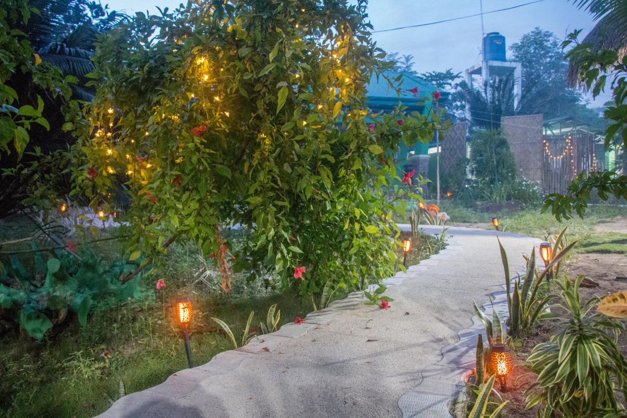 Moonlight Resort Logon