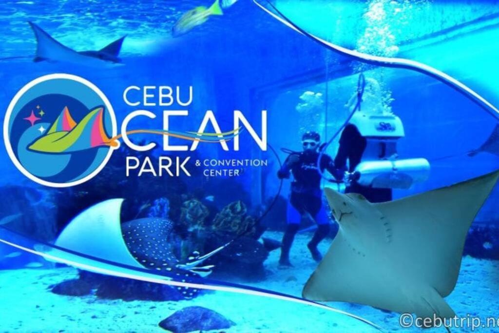 15h Walking Distance To Ayala And It Park With Wifi * Cebu