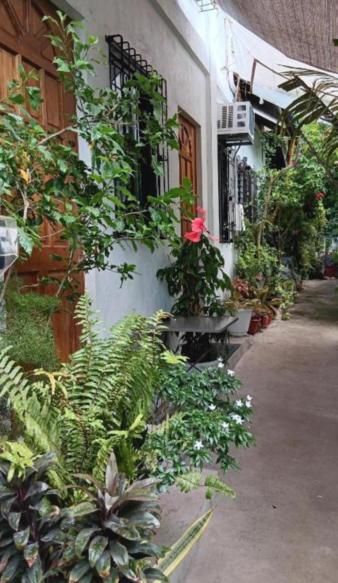 Hostel Susing Seaside Moalboal