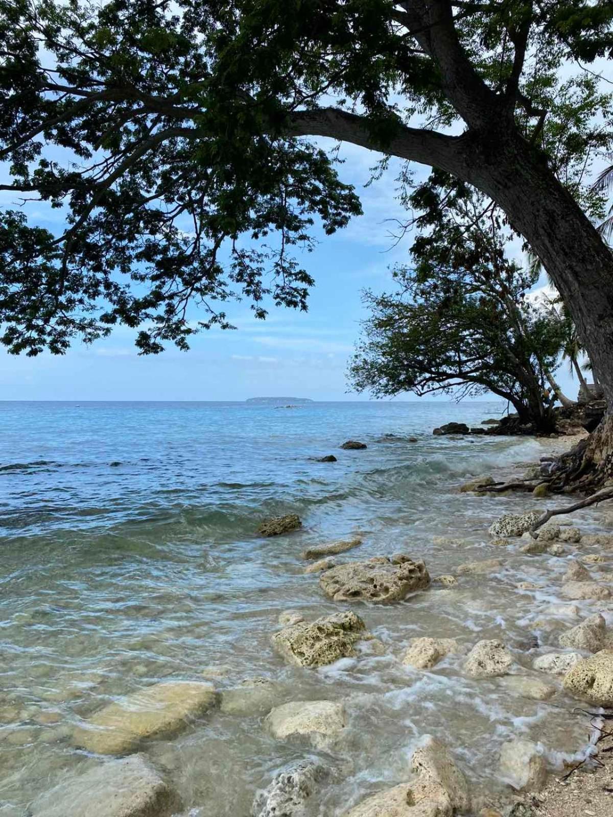 Alfonsa Tent Ground - Camp By The Sea * Oslob