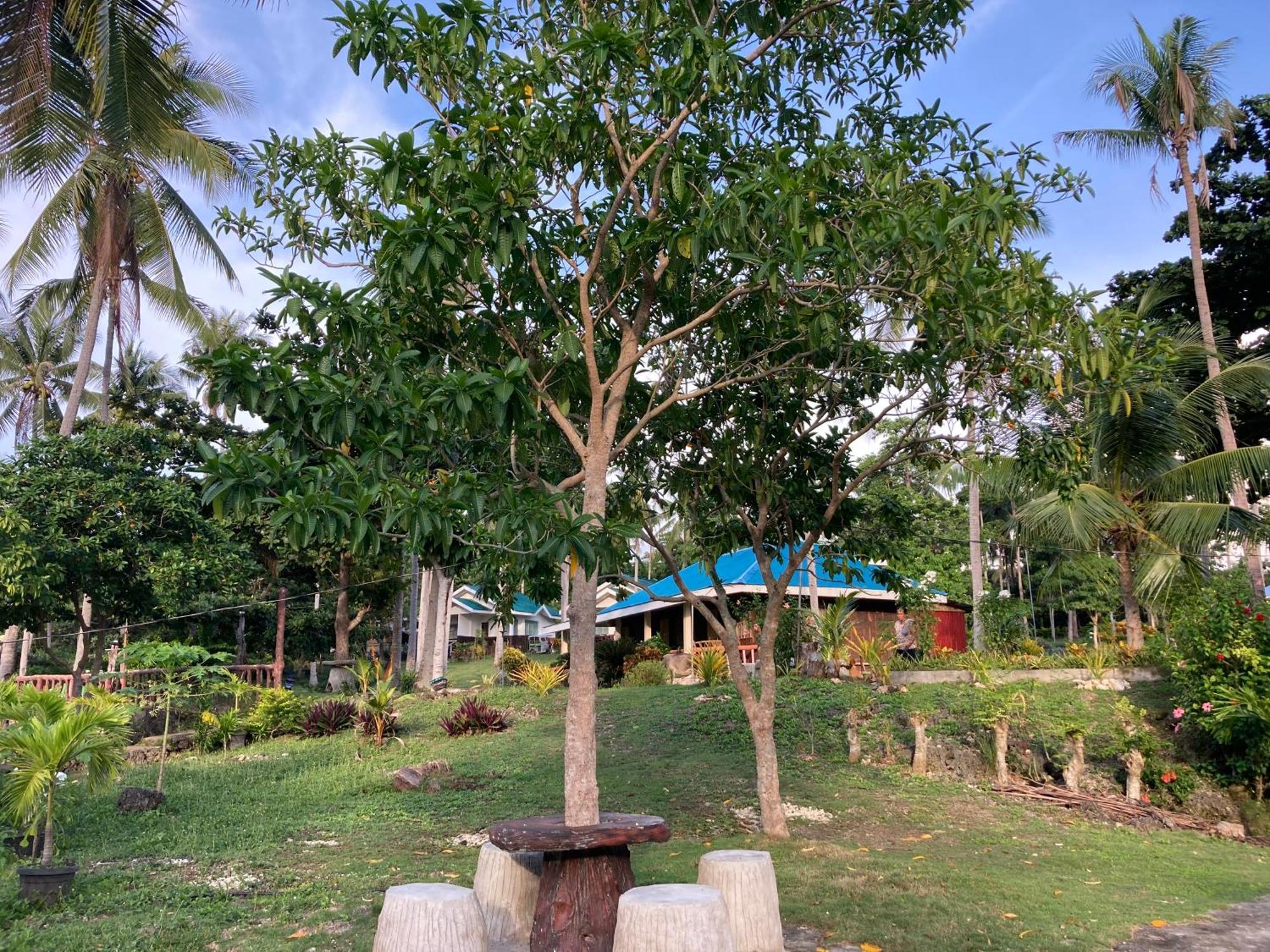 Camotes Affordable Staycation San Francisco (Cebu)