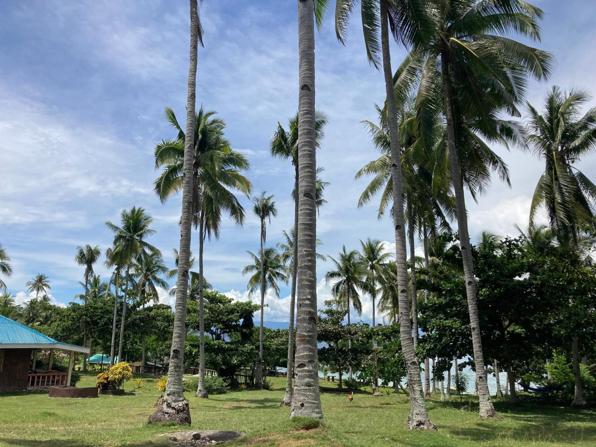 Camotes Affordable Staycation Bed & Breakfast