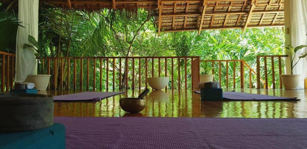 Resort Ocean Vida And Dive