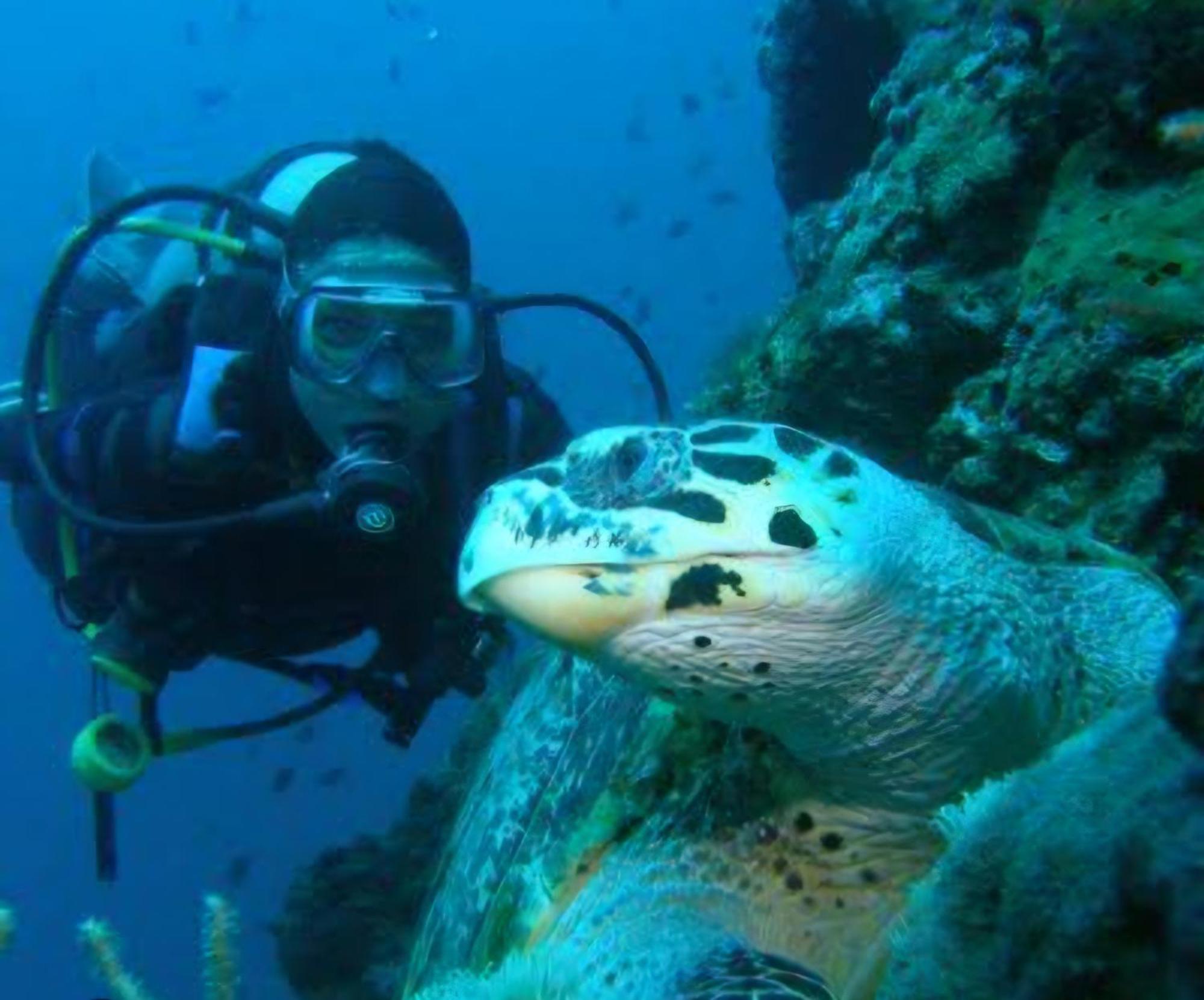 Nirvana Bamboo & Dive * Moalboal