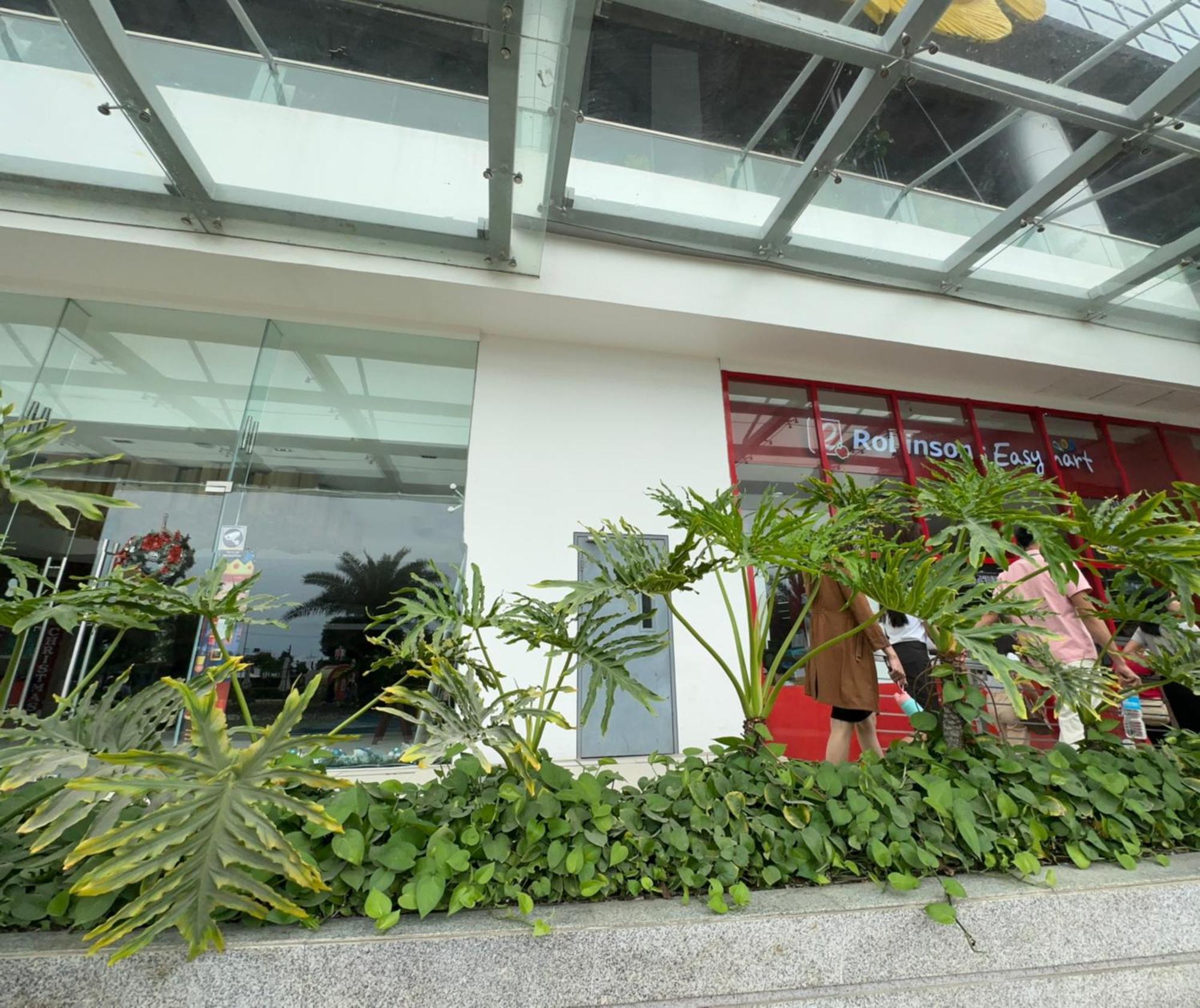 C1 -8nb With Pool Mactan Newtown Center Of Cebu Phillippines 15mins From Airport Apartment *