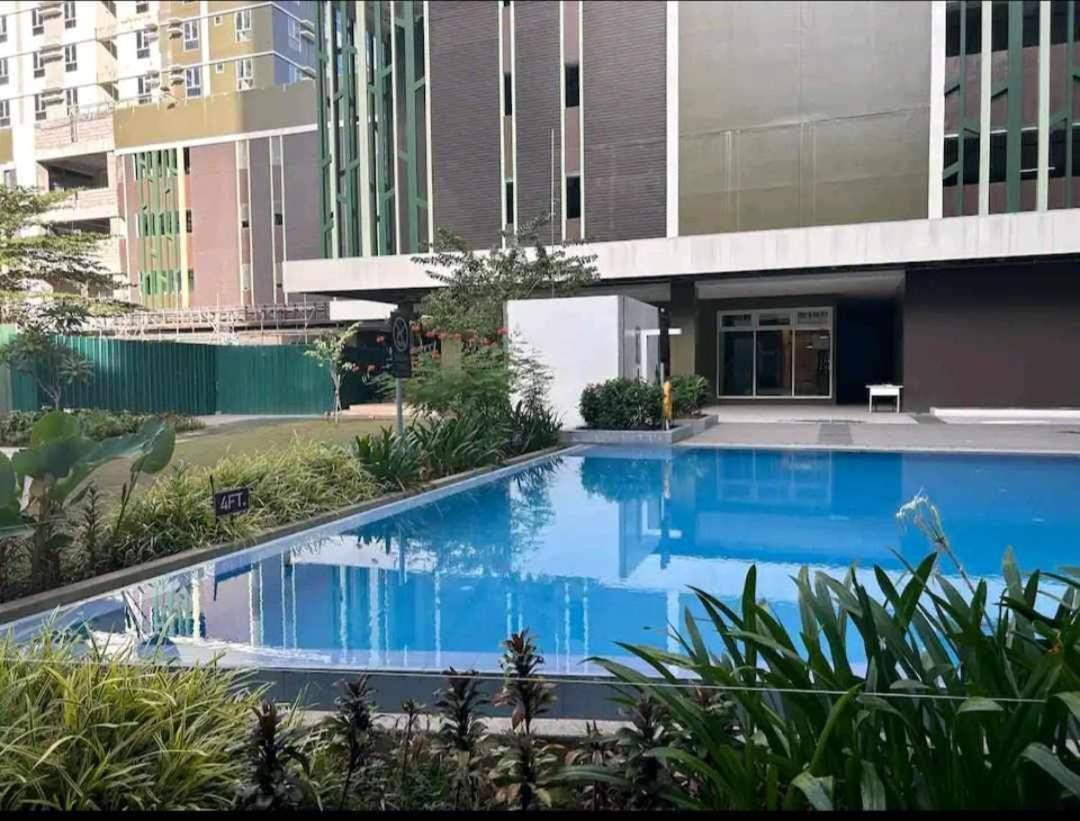 Virgo Nest * Tabok