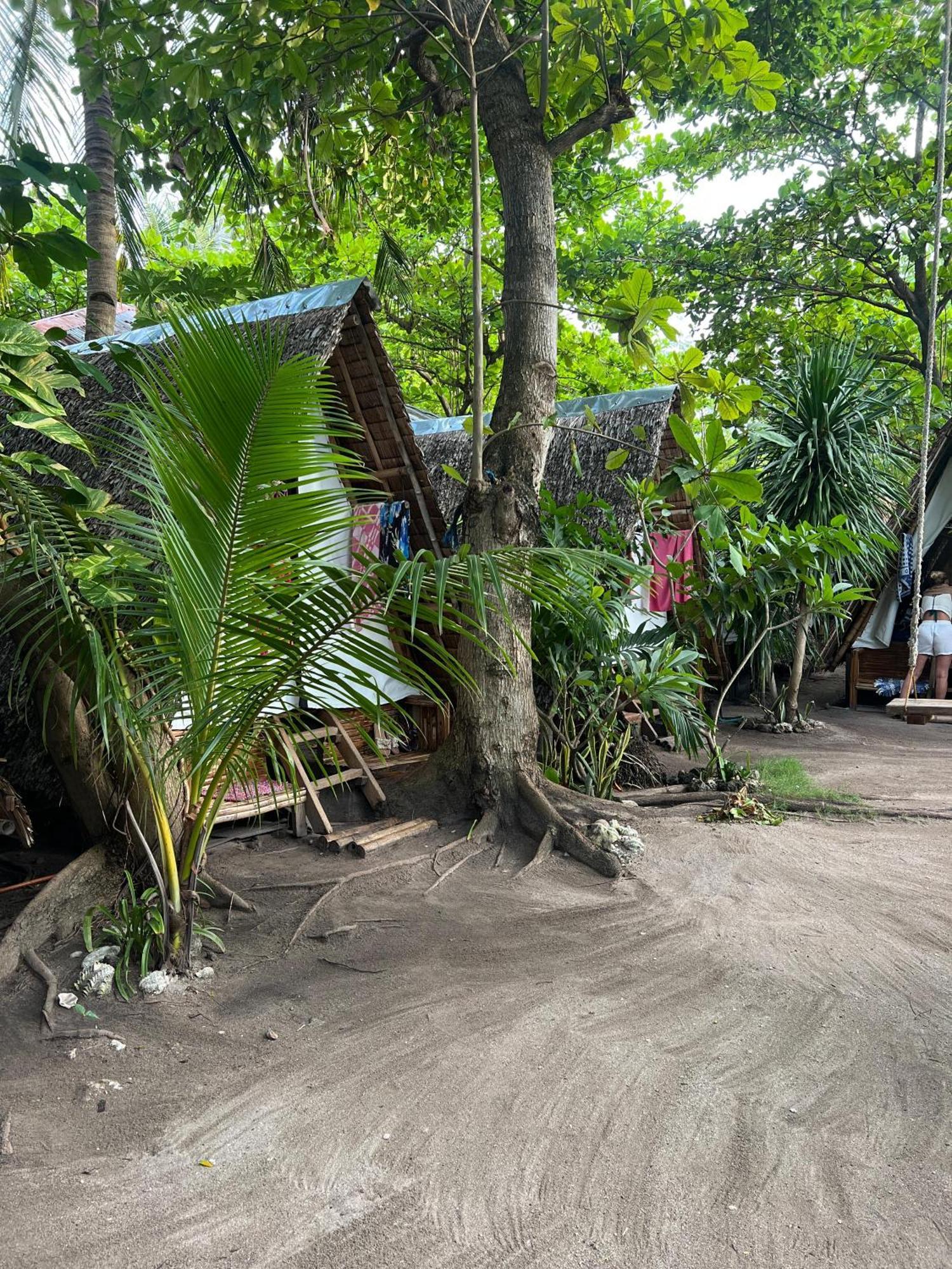 Georgia's Neverland Malapascua