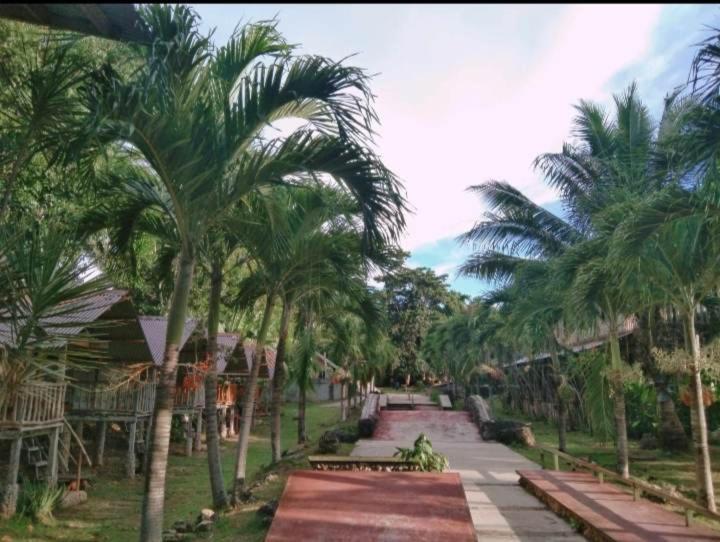 Palaboy Skatecamp - Resto And Daanbantayan