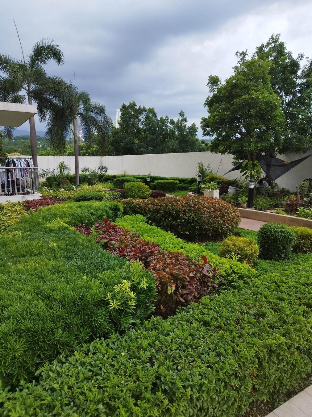 20th Floor 1br It Park Unit Across Sugbo Mercado