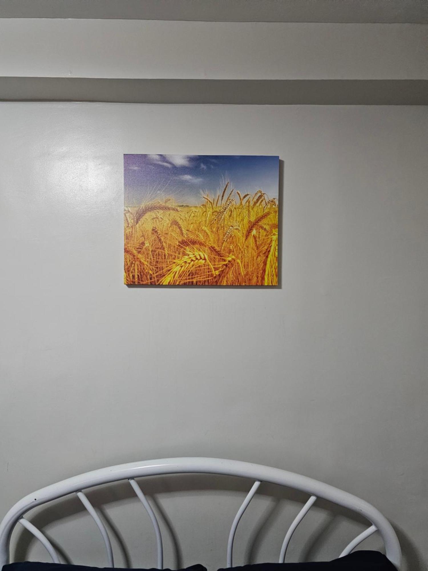 Tranquil Cool Mactan Cebu Bed & Breakfast