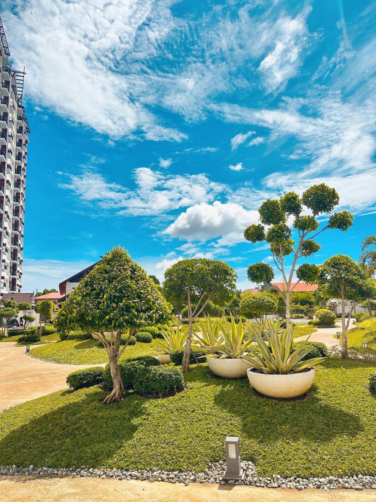 Vibes Fully Furnished In Cebu Lapu-Lapu City