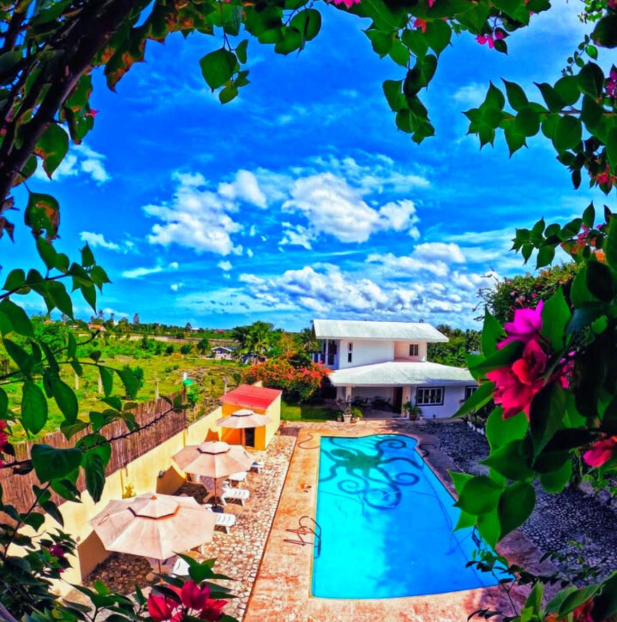 Divers Plumeria 3* Moalboal