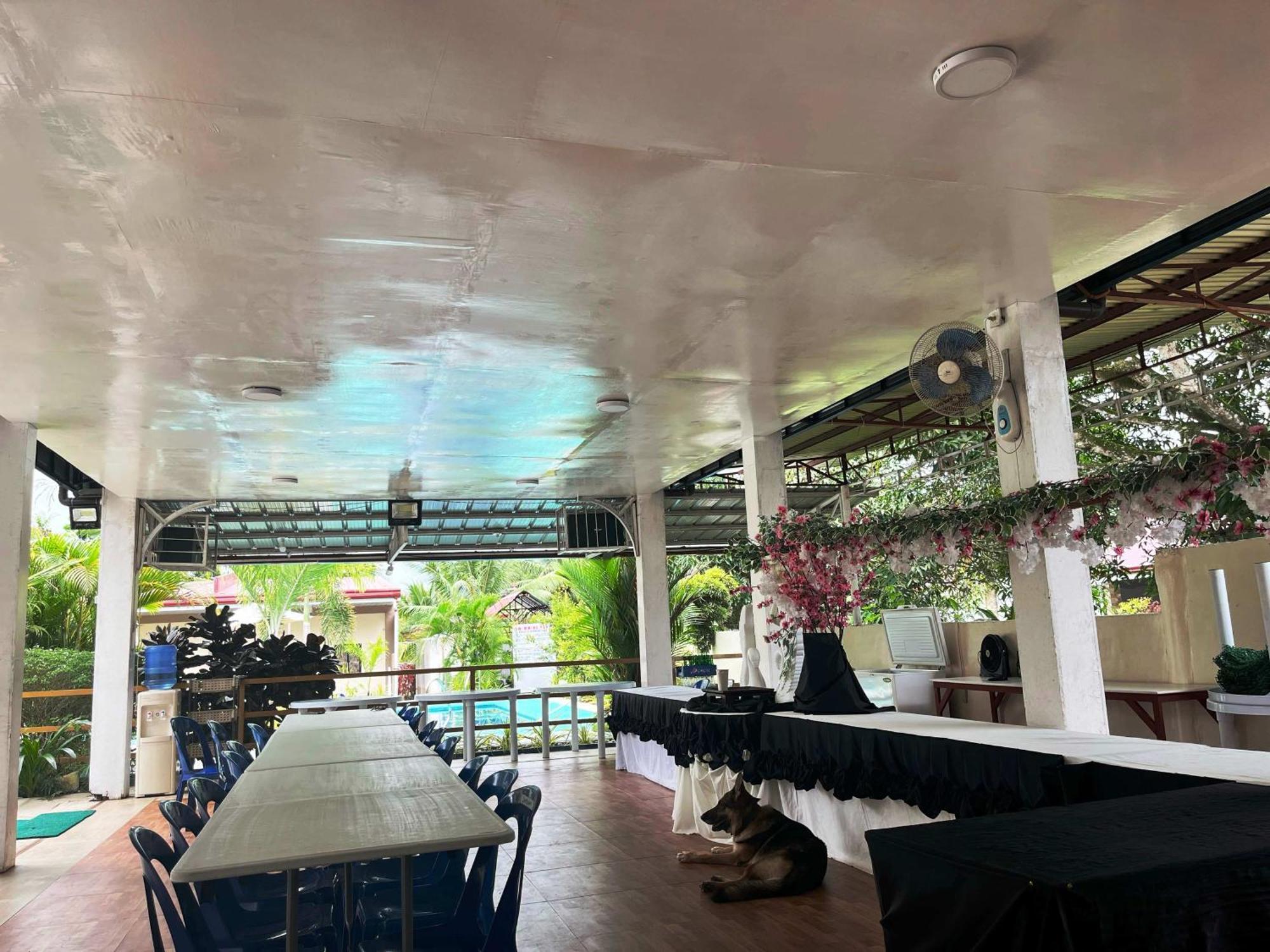Susane Bed & Breakfast Balamban
