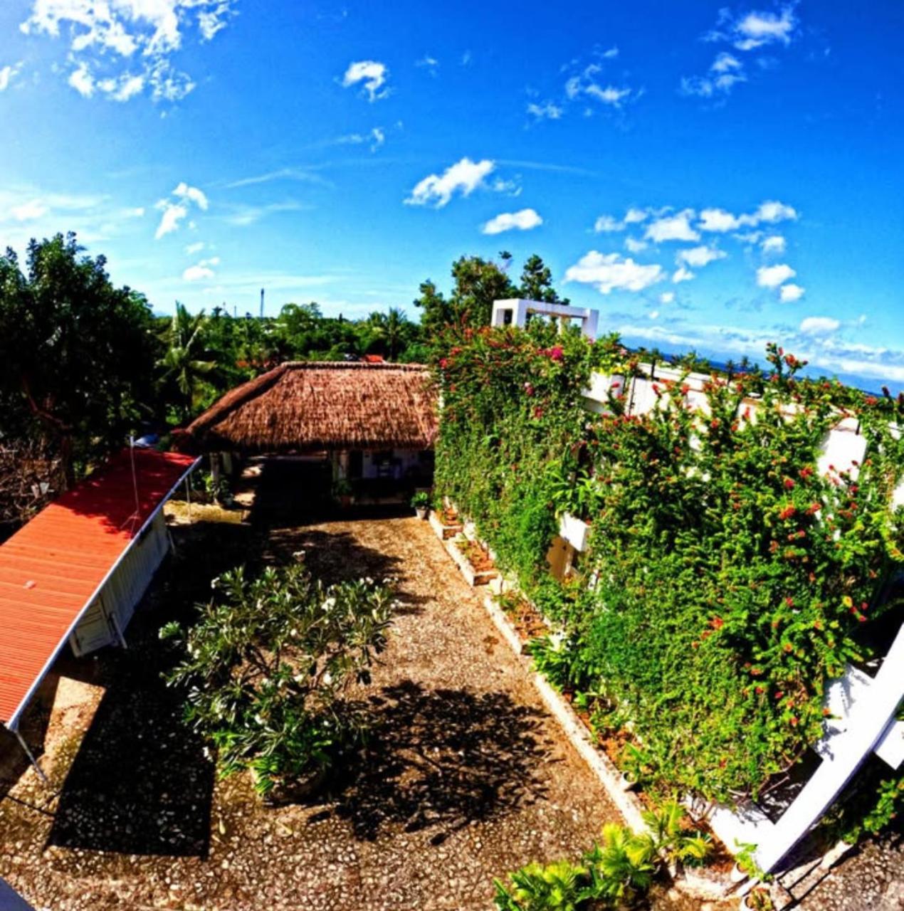 Hotel Divers Plumeria 3*