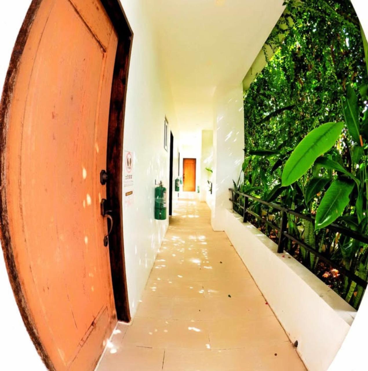 Divers Plumeria Hotel Moalboal