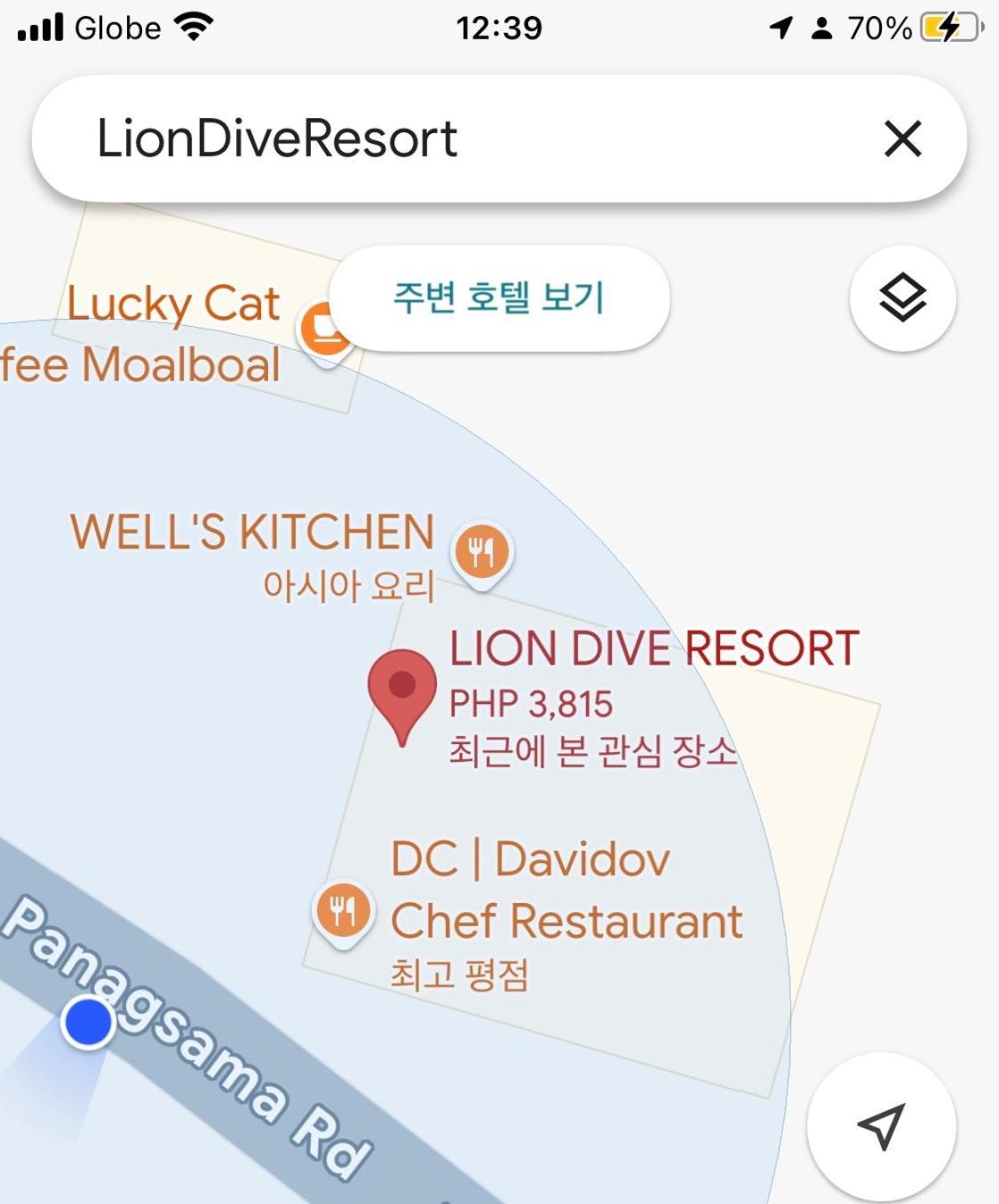 Lion Dive Moalboal