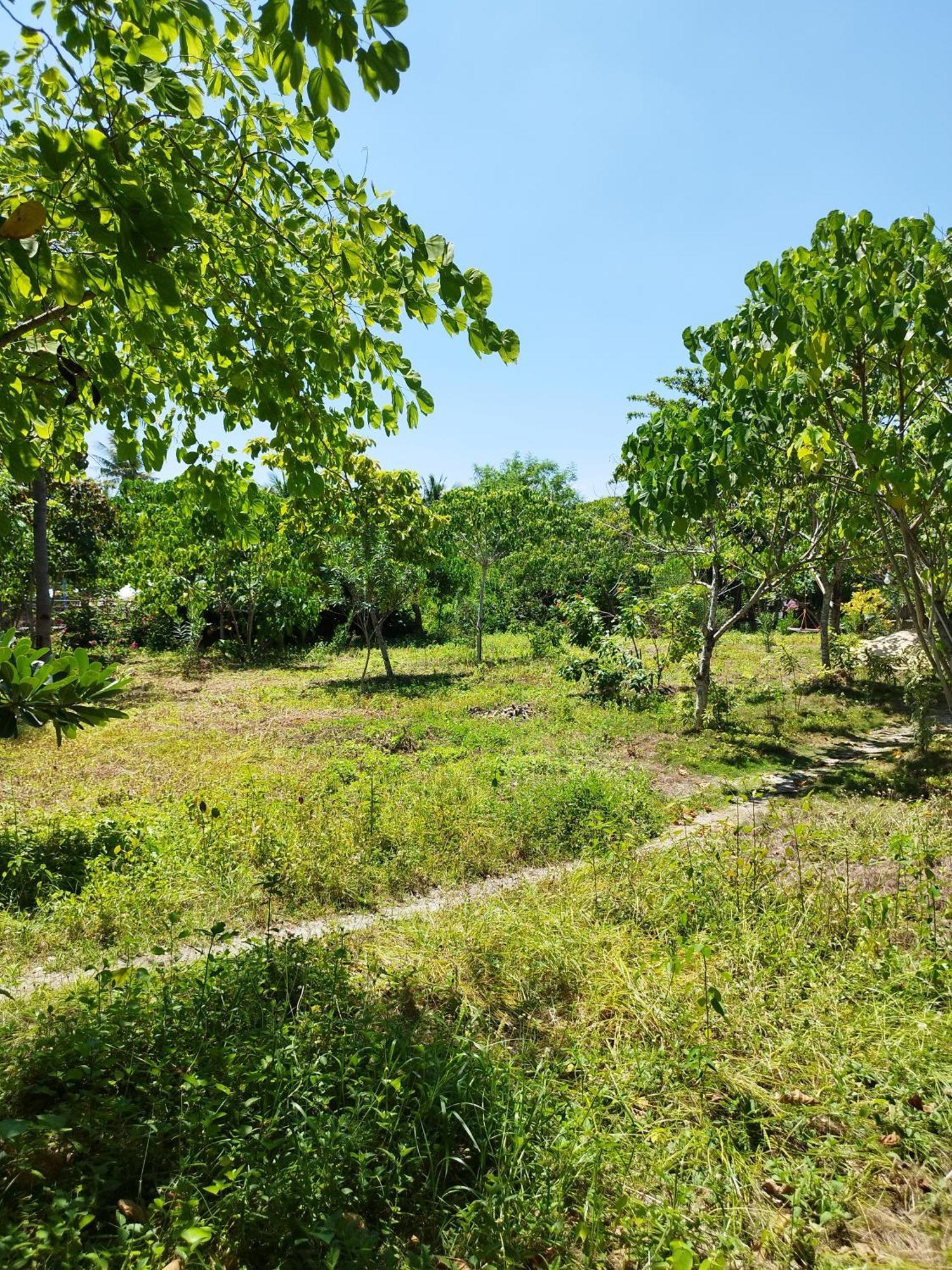 Celtis Resort 2*