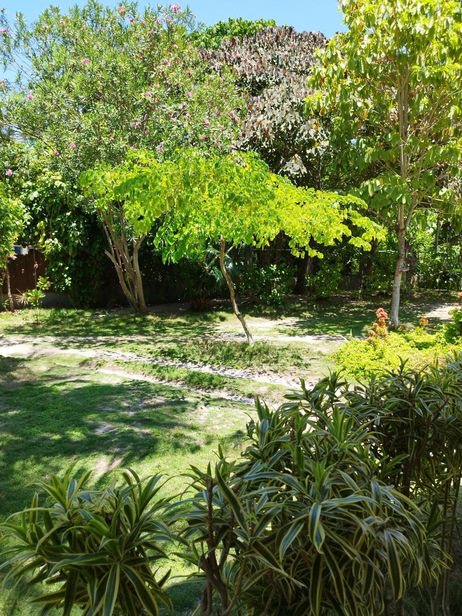 Celtis 2* Malapascua