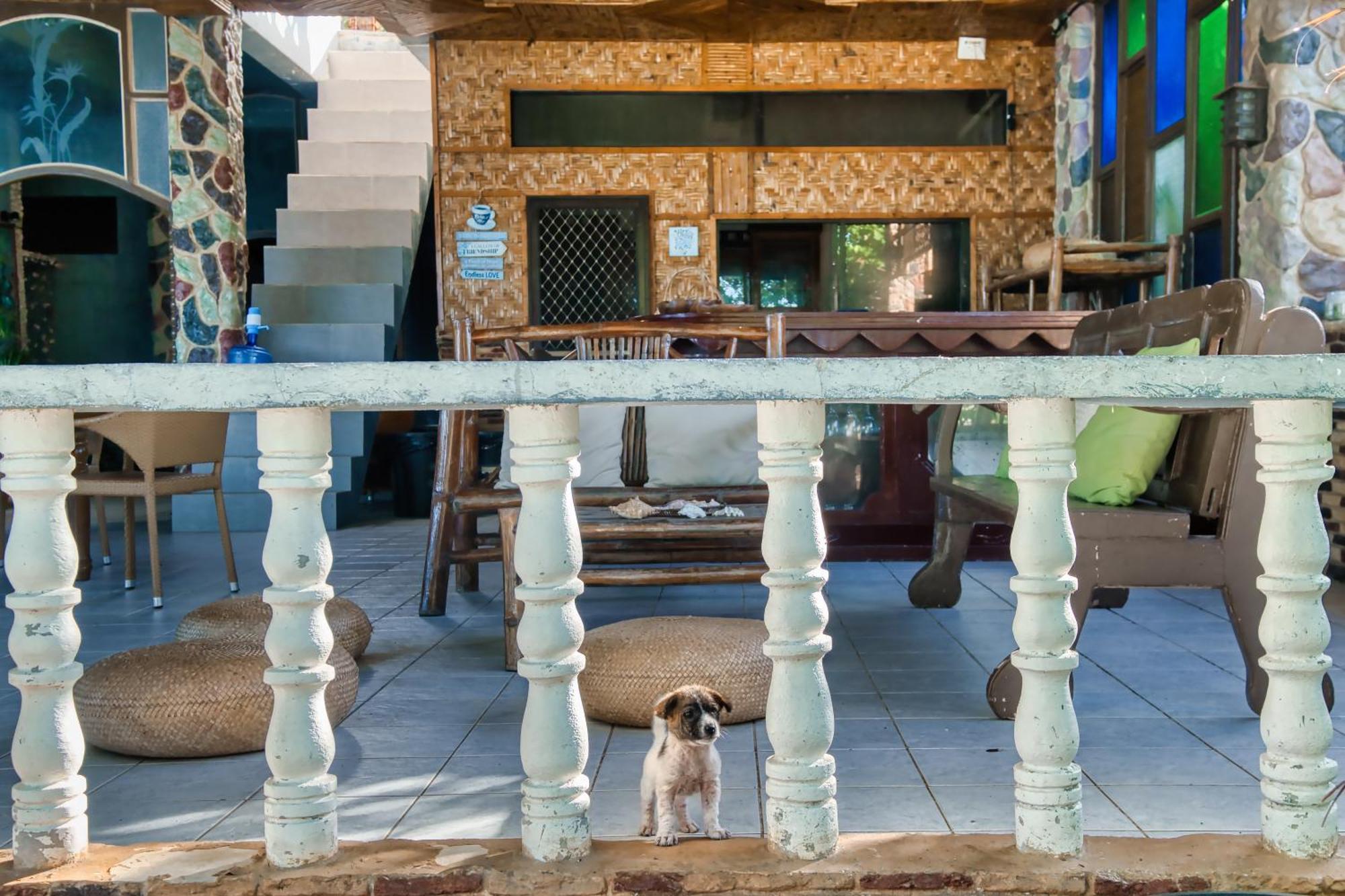 Villa Pilar Pilapil House In Malapascua Daanbantayan