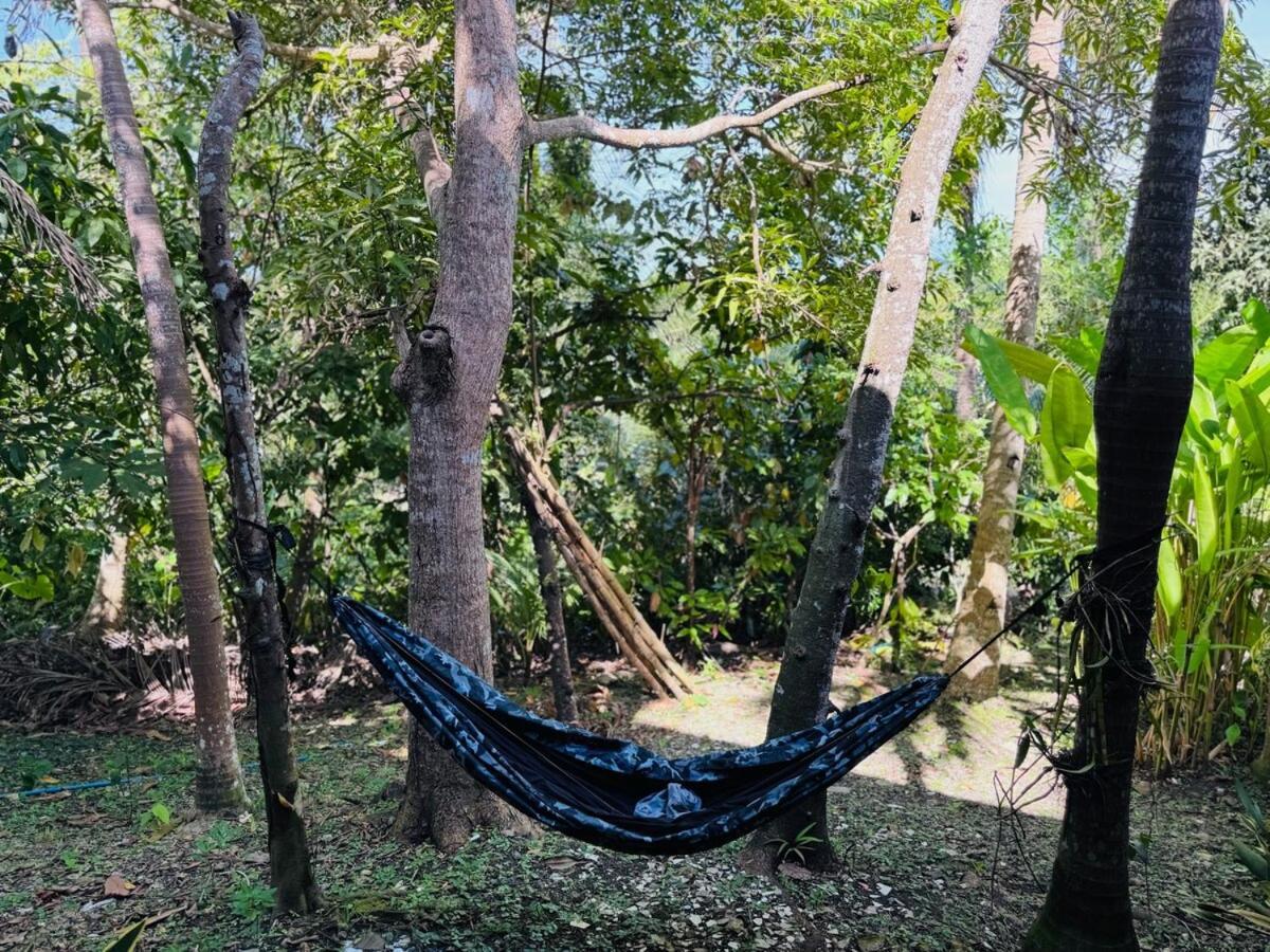 Bahay bakasyunan Private Nature Abode Near Beaches And Springs Tabogon